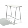 Mesa Alta Salinas 60x110 cm